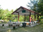 Herbal Sauna Wat Pho