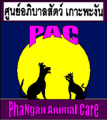 PAC - Phangan Animal Care