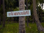 Airport Protest Koh Phangan Island