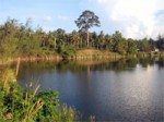 British Man Drowned Koh Phangan Island