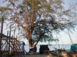 Development Koh Phangan Island