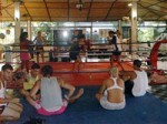 Jungle Gym Koh Phangan