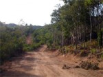 Road Thansadet Thong Nai Pan Koh Phangan