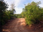 Road Thansadet Thong Nai Pan Koh Phangan