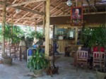 Som Tum Inter Restaurant Koh Phangan Island