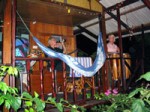 Sunday Blues Live Music Koh Phangan