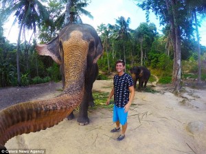 Elephant Selfie - Credit Caters News Agency