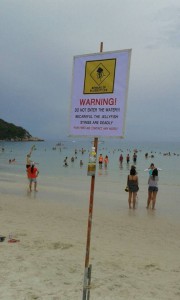 Koh Phangan plans to arrange lifeguards after jellyfish death