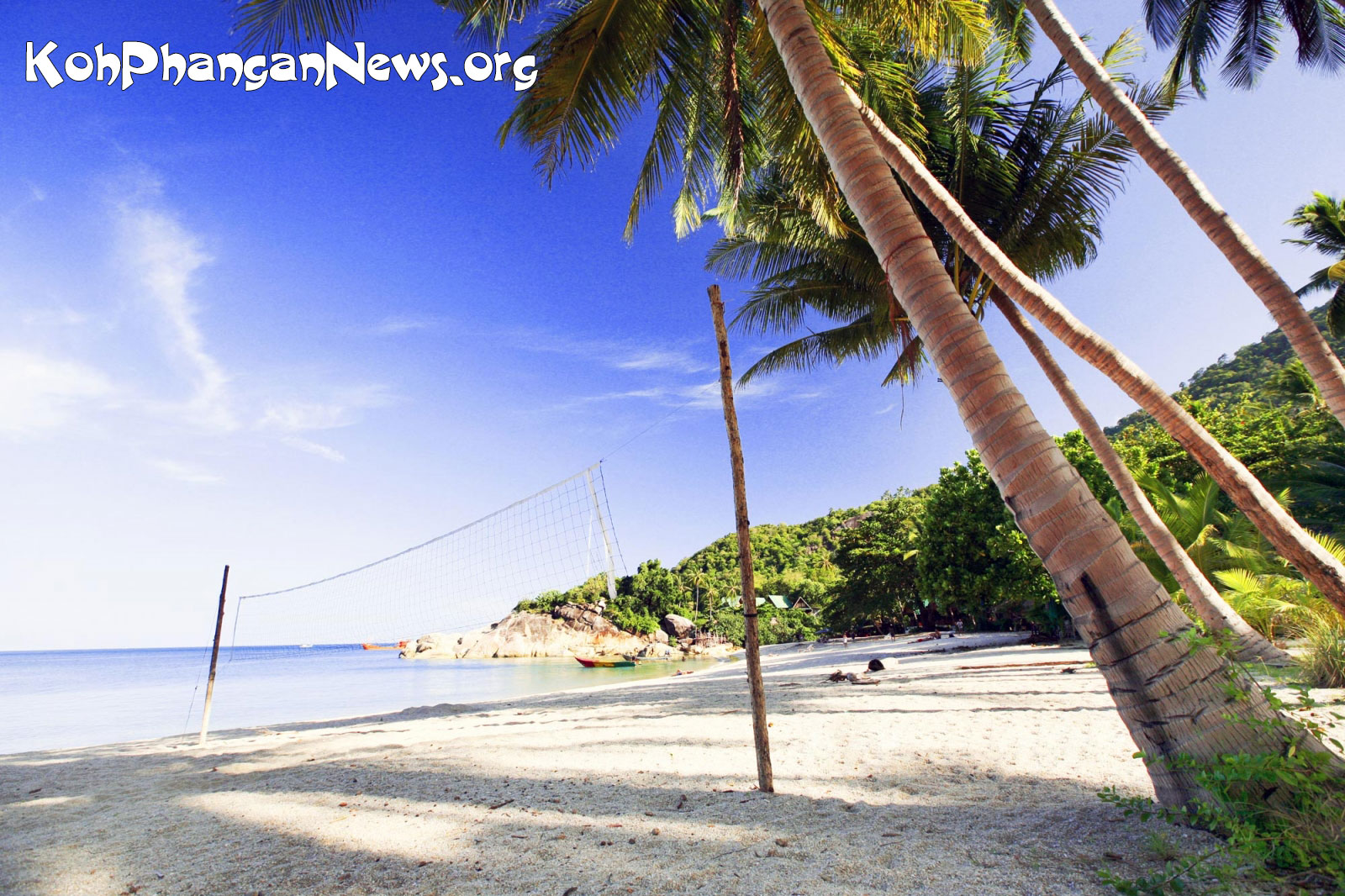 Advertisement Market expands on Koh Phangan Island! - Koh Phangan Island News