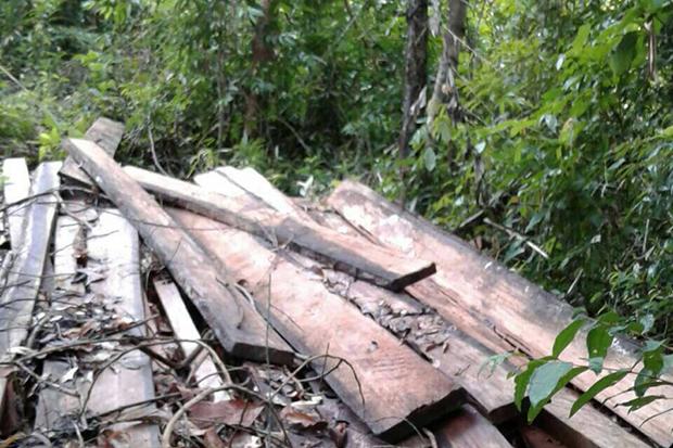 Wooden planks found on the mountain in Koh Phangan National Park. (Photo Credit @ Bangkokpost Supapong Chaolan)