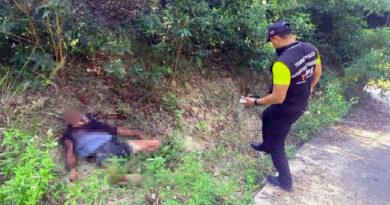 Moroccan man confesses to murder of Austrian DJ Max Hartl on Koh Phangan Island