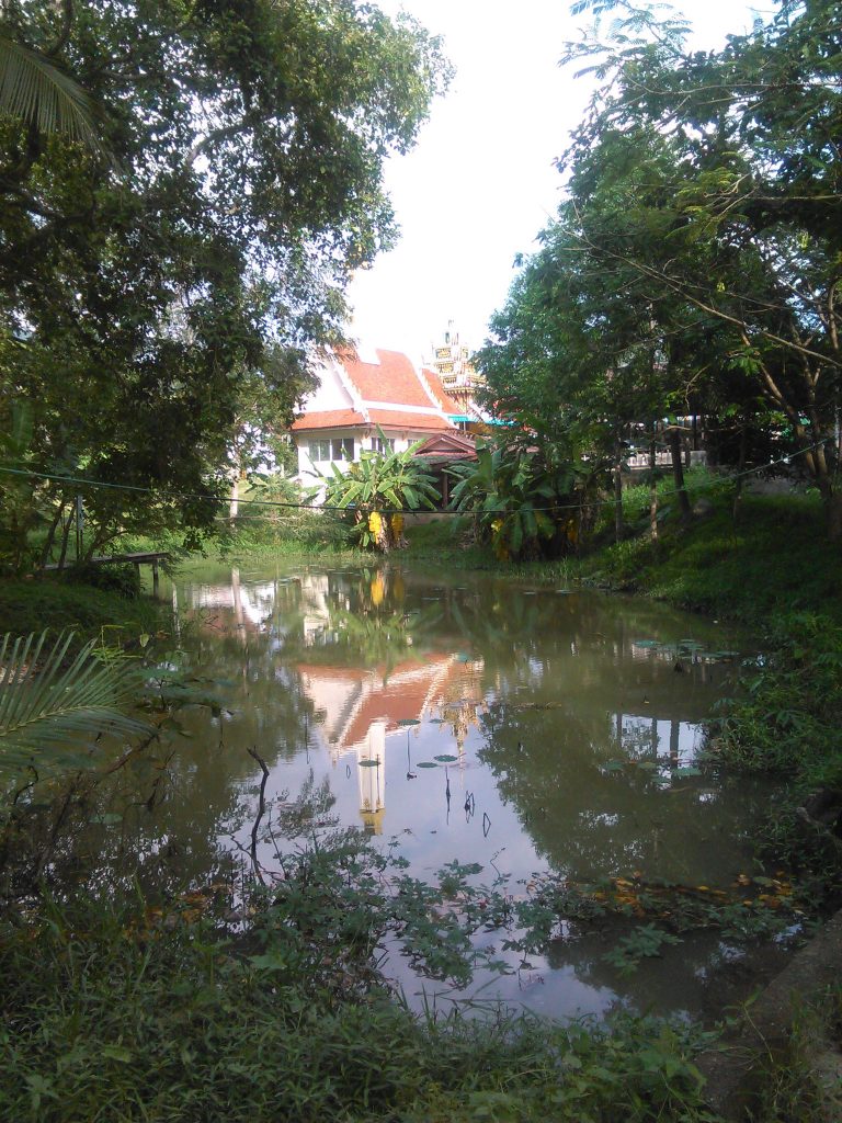 The herbal sauna at Wat Pho is beautifully surrounded by a forest and a fish pond. 