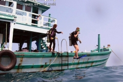 Chaloklum Diving Koh Phangan