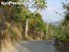DangerousRoadsPhangan-01