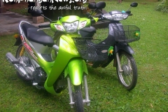 Motorbike For Sale Koh Phangan